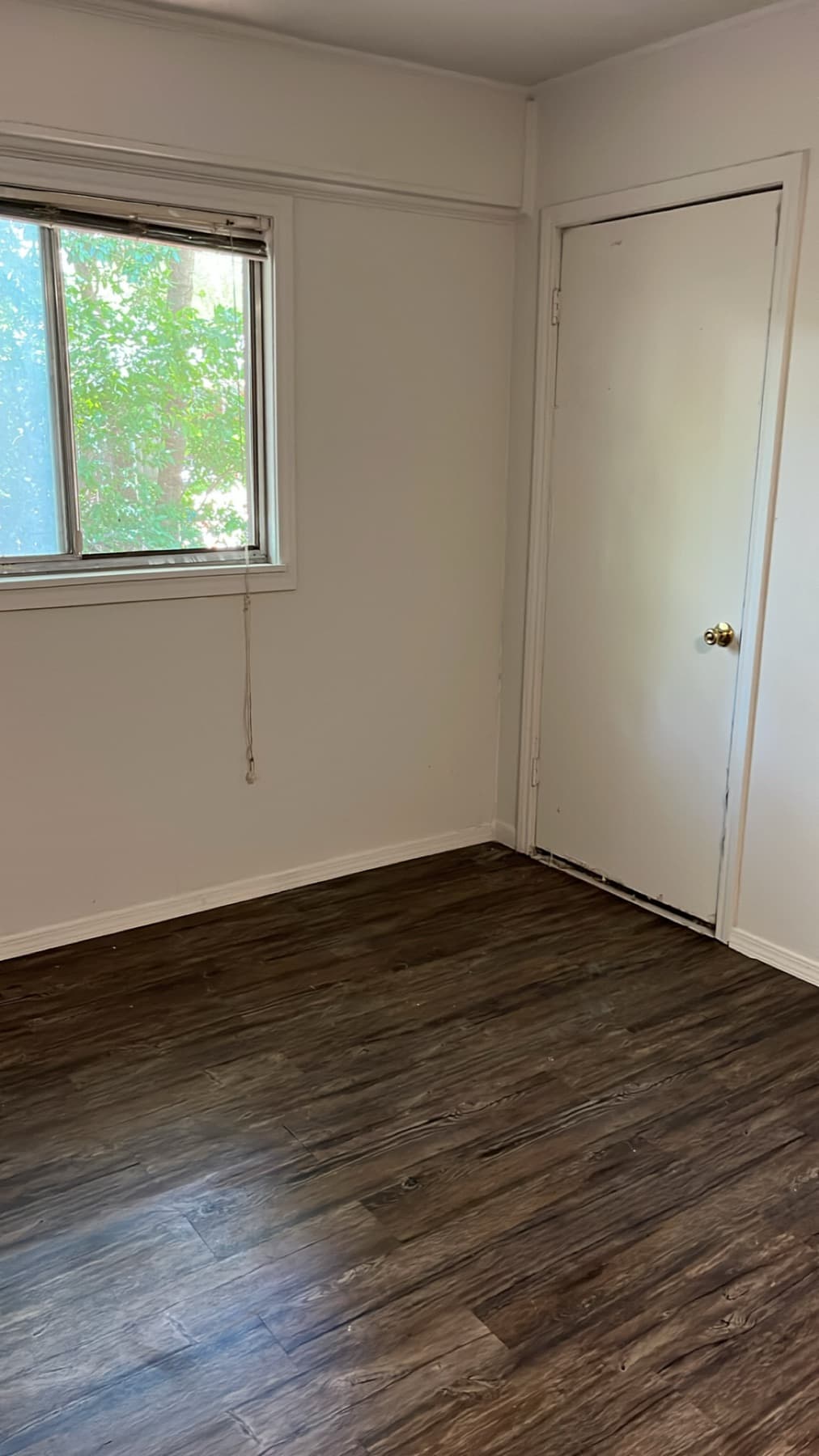 Interior room after repaint with clean trim and updated flooring